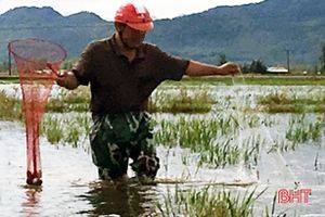 Thả lưới bắt cá trong mưa, một người đàn ông tử vong