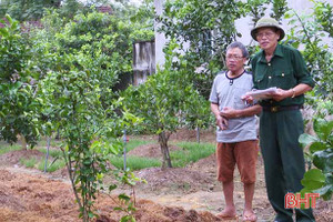 70 tuổi, vẫn miệt mài quy hoạch vườn mẫu cho nông dân