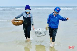 Ngư dân xã bãi ngang Hà Tĩnh trúng đậm cá trích, 2 ngày thu 15 tấn