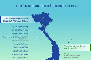 Vinamilk sở hữu hệ thống trang trại bò sữa đạt chuẩn Global G.A.P lớn nhất châu Á