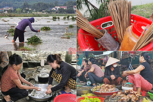 Thâm nhập các “trận địa” đánh bắt, sơ chế, tiêu thụ “chim trời” ở Hà Tĩnh