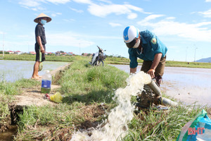 Nông dân Hà Tĩnh nhanh chóng tiêu thoát úng, “cứu” lúa hè thu