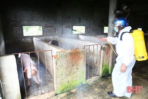 Hà Tĩnh “kích hoạt” hệ thống phòng, chống dịch tả lợn châu Phi