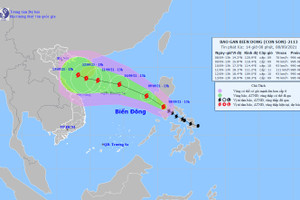 Tin mới nhất về cơn bão CONSON