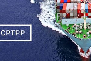 Thế giới ngày qua: Hạ viện Australia phê chuẩn CPTPP