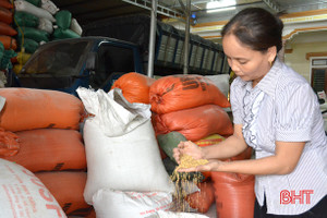 Kinh doanh thành công từ “hạt vàng” quê hương