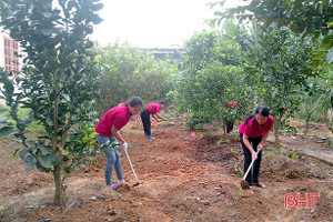 Khi các cô giáo ở huyện miền núi Hà Tĩnh làm... nông dân