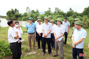 Điều tiết hợp lý nguồn nước tưới, đảm bảo lúa hè thu sinh trưởng và phát triển tốt