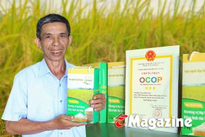 Chuyện lão nông ở Hà Tĩnh xây dựng thương hiệu gạo OCOP