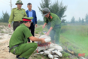 Thạch Hà thu giữ 2.665 chim mồi giả