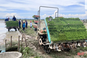 Cẩm Xuyên thí điểm mạ khay, cấy máy sản xuất lúa theo hướng hữu cơ