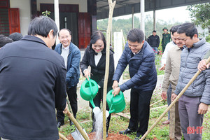 Lãnh đạo Hà Tĩnh tham gia trồng cây đầu xuân Canh Tý tại các địa phương