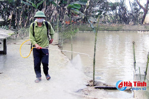 Ngăn chặn vi rút cúm gia cầm A/H7N9 xâm nhiễm vào Hà Tĩnh