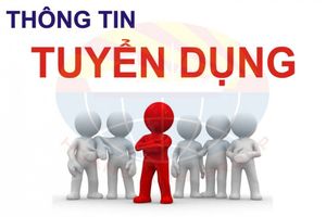 Cẩm Xuyên tuyển dụng 12 viên chức sự nghiệp