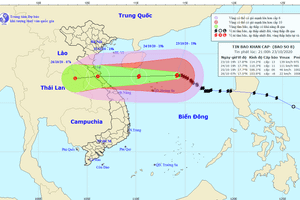 Sức gió mạnh nhất vùng gần tâm bão số 8 mạnh cấp 12 - 13