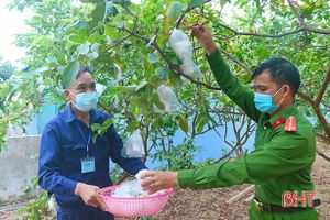 Giúp người dân vùng bị phong tỏa ở xã Kỳ Đồng thu hoạch nông sản