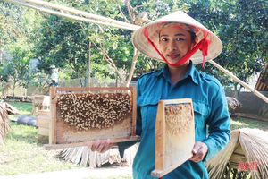 Liên kết sản xuất, tiêu thụ mật ong để nâng cao thu nhập