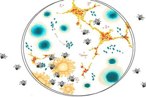 Cỗ máy siêu nhỏ đoạt giải Nobel hóa học có thể tìm diệt tế bào ung thư