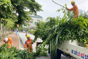 Mưa bão cận kề, Điện lực Hà Tĩnh tăng cường phát quang hành lang lưới