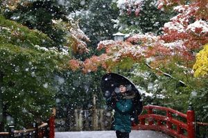 Tuyết rơi đầu mùa biến Tokyo thành xứ thần tiên