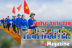 Những trái tim tình nguyện