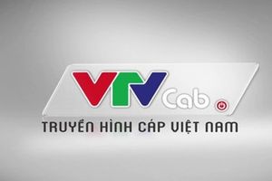 VTVcab lo bồi thường lớn vì tình trạng vi phạm bản quyền