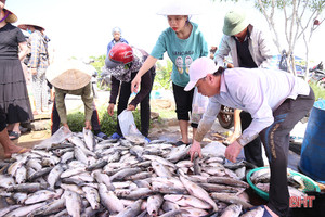 Đã rõ nguyên nhân 50 tấn cá trên sông Nghèn bị chết