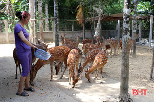 Không học chuyên khoa, vẫn làm “bà đỡ"... 