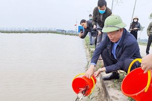 Thả hơn 1,36 tấn cá tái tạo nguồn lợi thủy sản ở vùng ven đô TP Hà Tĩnh