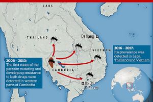 Cảnh báo ký sinh trùng sốt rét kháng thuốc lan khắp Đông Nam Á