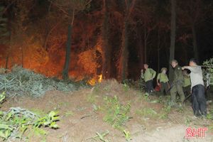 Cháy rừng ở Nghi Xuân: Lực lượng chức năng ngăn đám cháy bùng phát trở lại