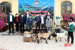 16 hộ nghèo ở Hương Sơn được hỗ trợ dê giống