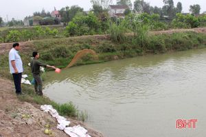 Biến đồng đất chua phèn thành vùng nuôi trồng thủy sản tiềm năng