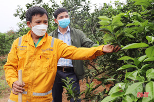 “Sân chơi” bổ ích cho người dân miền núi Vũ Quang