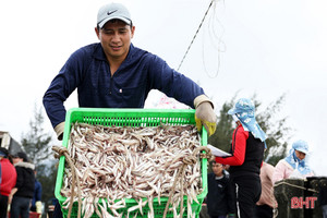 Vui mùa lộc mới ở Hà Tĩnh