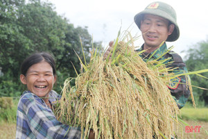 Bản Rào Tre được mùa lúa mới