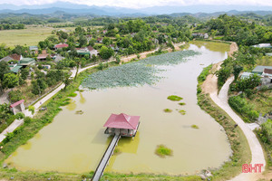 Biến ao tù nước đọng thành hồ điều hòa xanh mát ở Hà Tĩnh