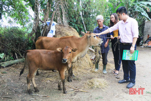 Tăng gấp đôi hạn mức và thời gian vay, cơ hội đổi đời cho người nghèo Hà Tĩnh