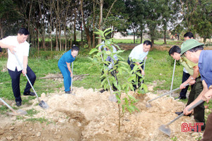 “Làm cho đất nước càng ngày càng xuân”…