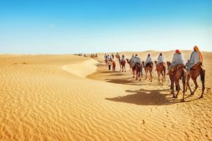 Những sự thật bất ngờ về sa mạc Sahara