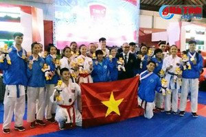 VĐV Hà Tĩnh giành 4 huy chương tại Giải Karatedo Đông Nam Á