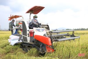 Điều tiết máy gặt hợp lý, chuẩn bị cho cao điểm thu hoạch lúa hè thu ở Hà Tĩnh