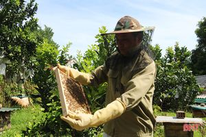 Chuyện về lão nông Hà Tĩnh thoát nghèo nhờ nuôi ong lấy mật