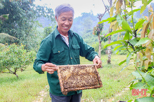 Người cựu binh "đánh là phải thắng" trên mặt trận kinh tế