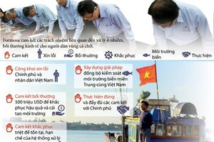 [Infographics] 5 cam kết của Formosa trong xử lý vụ cá chết