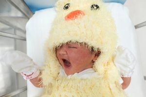 Dễ thương trẻ sơ sinh mặc đồ gà đón Tết trong bệnh viện