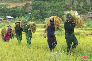 Giúp bà con dân tộc Chứt thu hoạch vụ mùa đông xuân