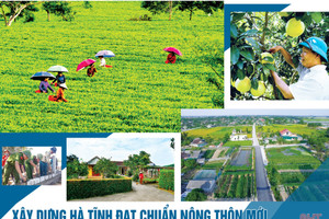 Hà Tĩnh ban hành chính sách hỗ trợ xây dựng tỉnh nông thôn mới