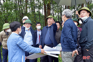 Bám sát quy hoạch dài hạn của địa phương trong xử lý vướng mắc liên quan hướng tuyến cao tốc Bắc - Nam