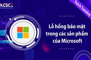 Sở TT&TT Hà Tĩnh cảnh báo về bảo mật trong các sản phẩm Microsoft